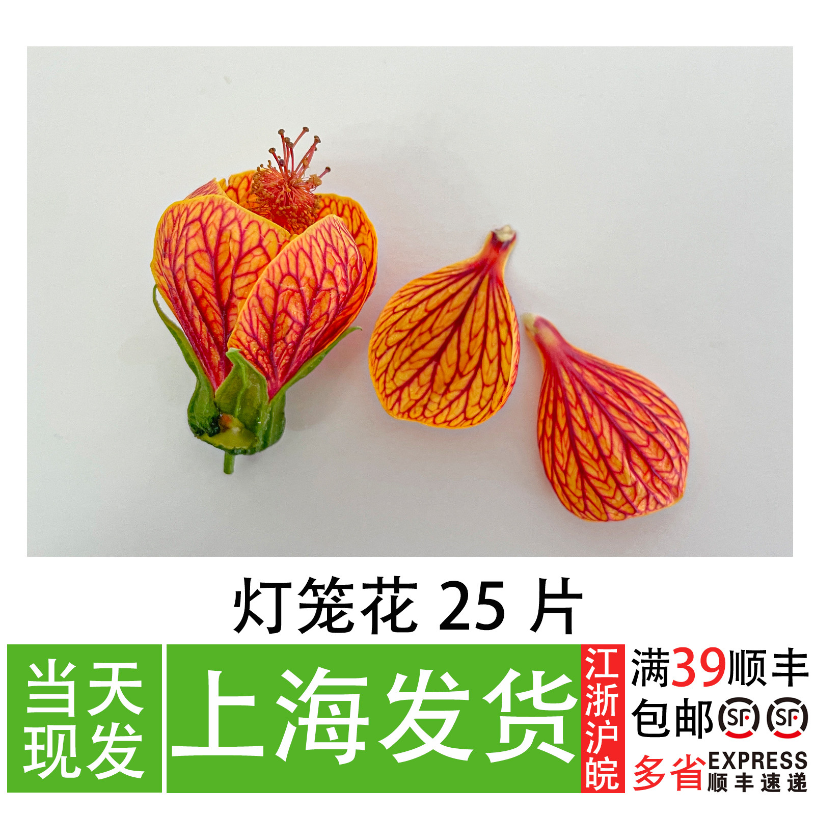 新鲜灯笼花 餐厅摆盘装饰花草 酒店菜品冷艺创意造型装饰花金铃花
