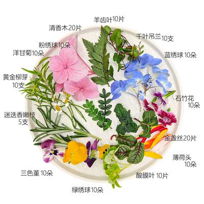 小份量烘焙蛋糕摆盘装饰花草