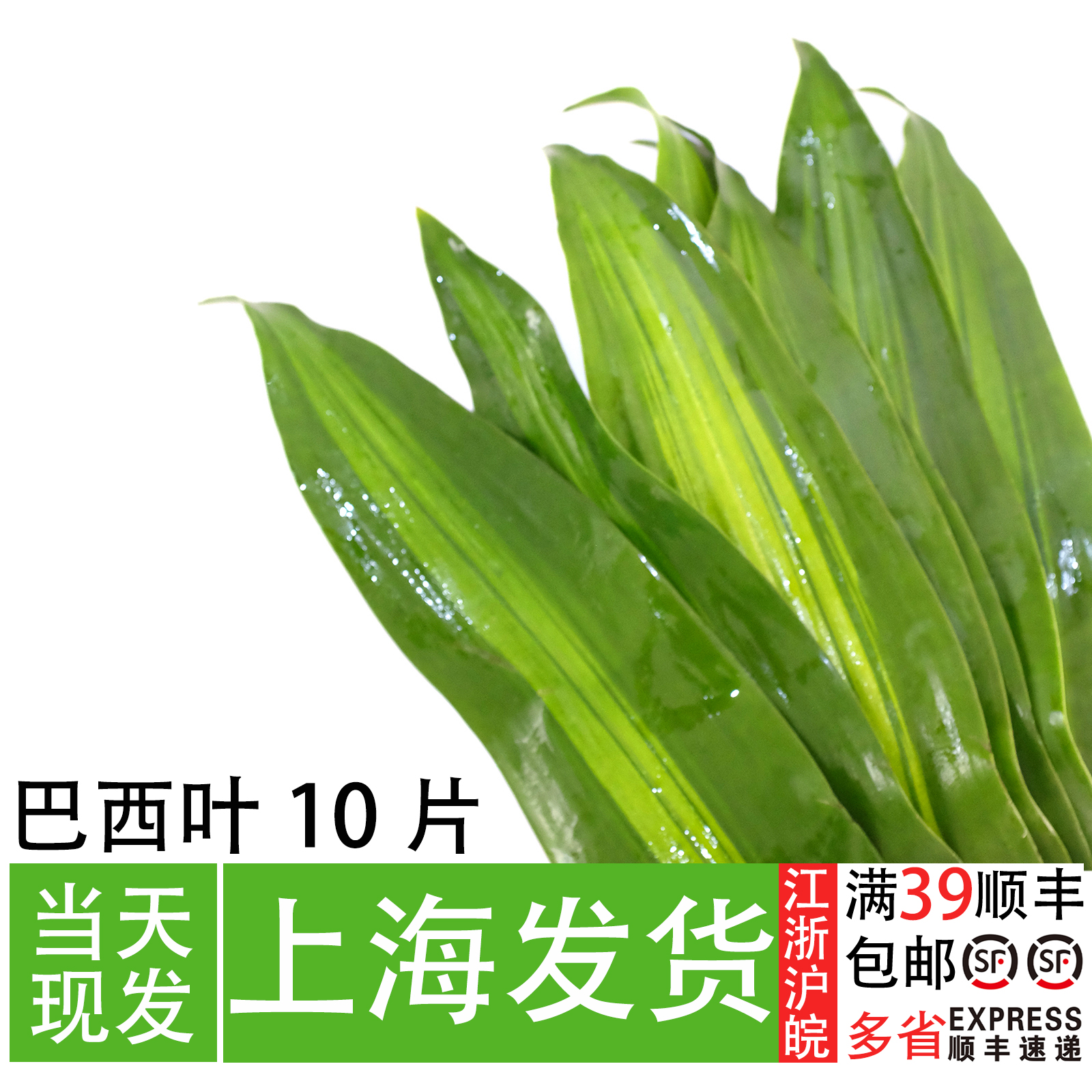 巴西叶餐厅摆盘装饰日料烤肉