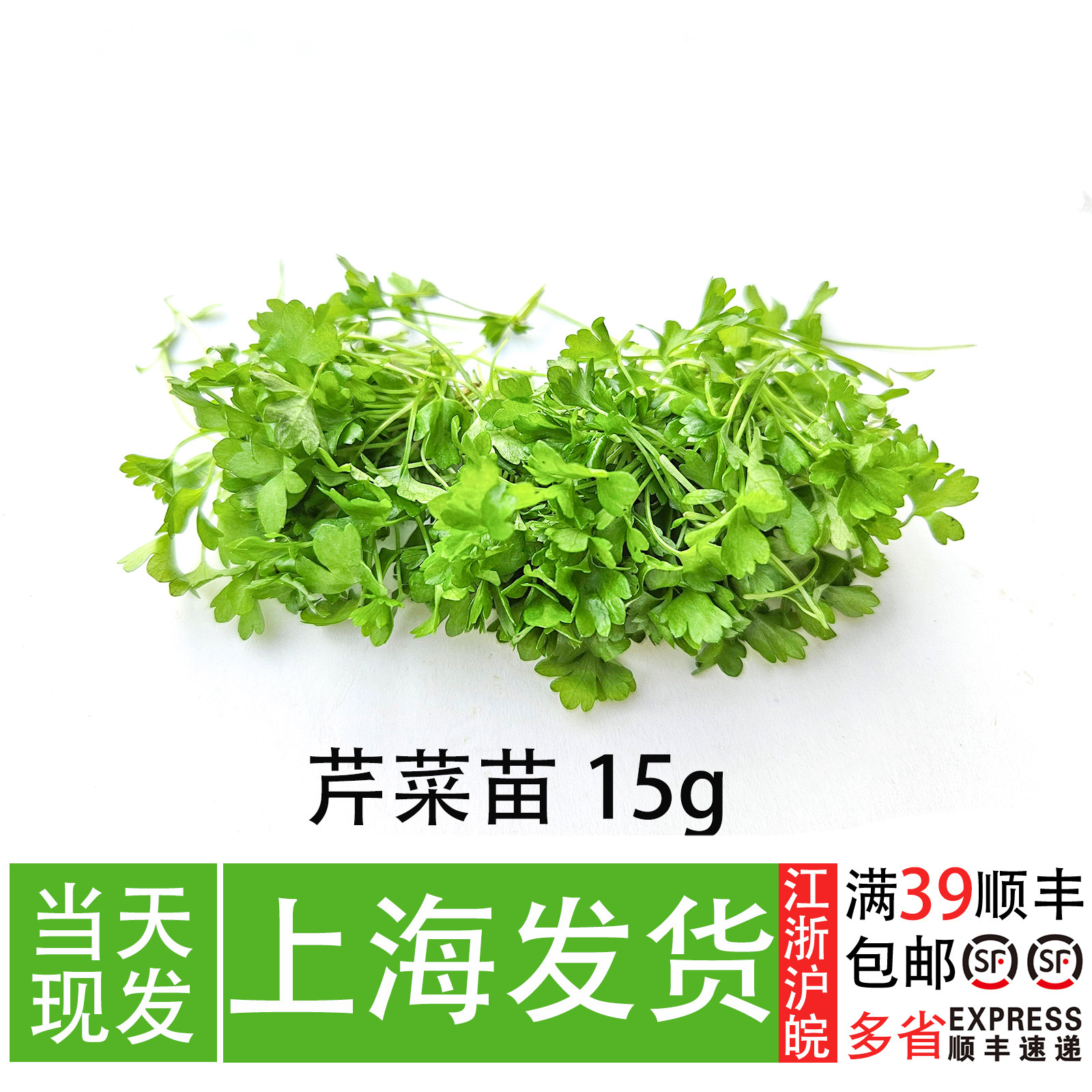 新鲜芹菜苗15g 可食用芽苗菜 西餐厅冷盘造型装饰甜品点缀三叶芹