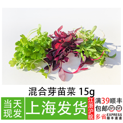 混合芽苗菜餐厅冷盘造型装饰