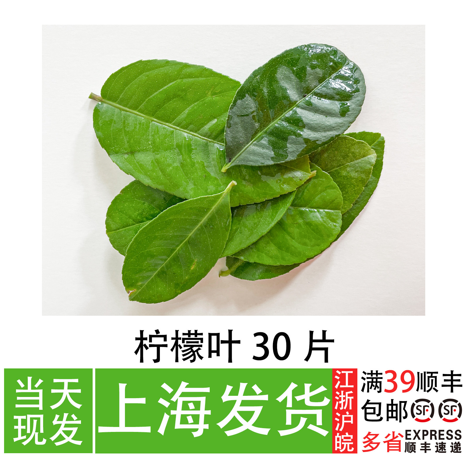 新鲜柠檬叶30片 泰式料理冬阴功汤料食材 摆盘装饰柠檬草