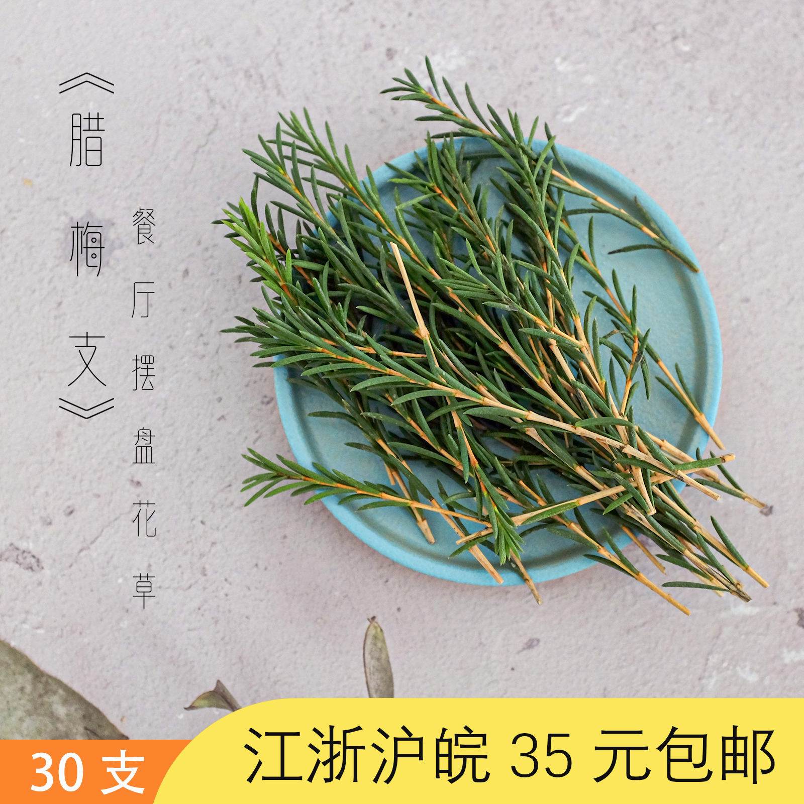 餐厅甜品法式西点装饰绿叶腊梅支