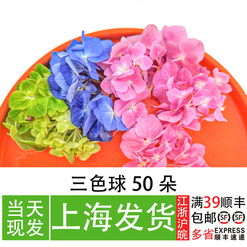 多色绣球花餐厅摆盘装饰湖草