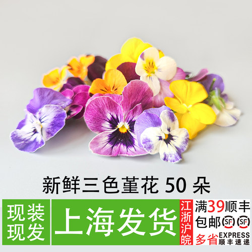 新鲜三色堇西餐厅甜品装饰小花