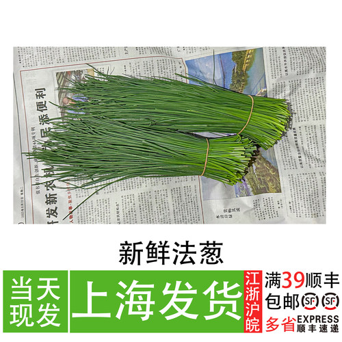 细叶葱餐厅食材香料配料