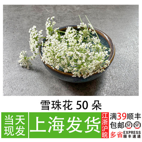 雪珠花餐厅摆盘装饰花草