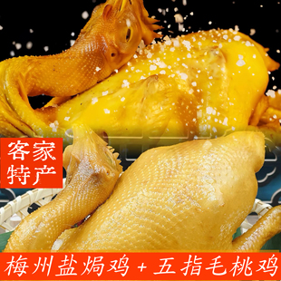 【2只装】正宗梅州盐焗鸡客家特产五指毛桃鸡新鲜真空手撕熟鸡肉