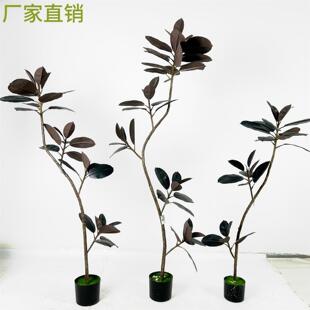 黑金刚橡皮树仿真绿植高端轻奢客厅摆件大型落地侘寂风仿生假植物