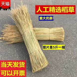 做霉豆腐的稻草谷草屋顶装饰遮阳稻草帘子天然干稻草牛羊草料稻草