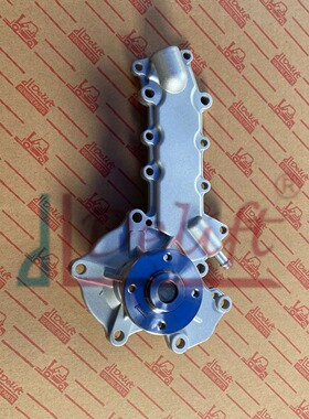 叉车配件 各类叉车水泵 V2403 水泵 1E14173033 水泵现货 Delift