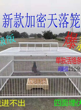 特大号鸽子笼跳进口笼子家用只进不出养殖专用活络门撞门神器自动