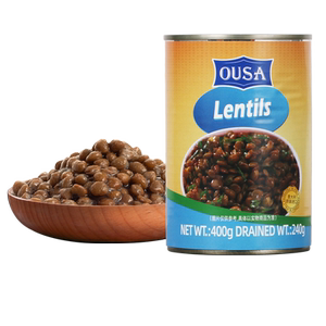 欧萨绿扁豆罐头意大利进口