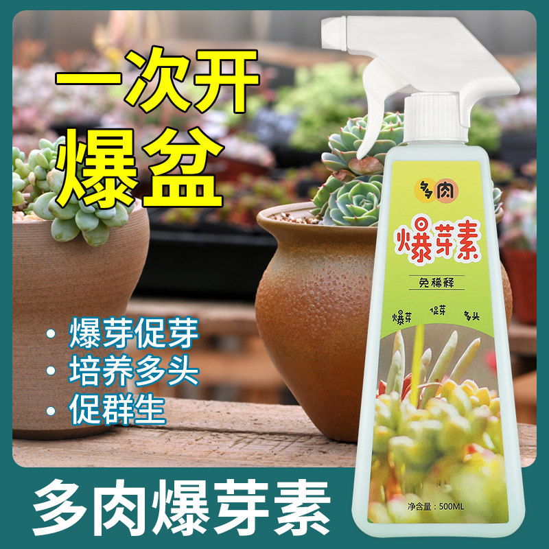 植物优芽素多肉专用肥兰花活力素爆芽生芽营养液优雅素家用养护