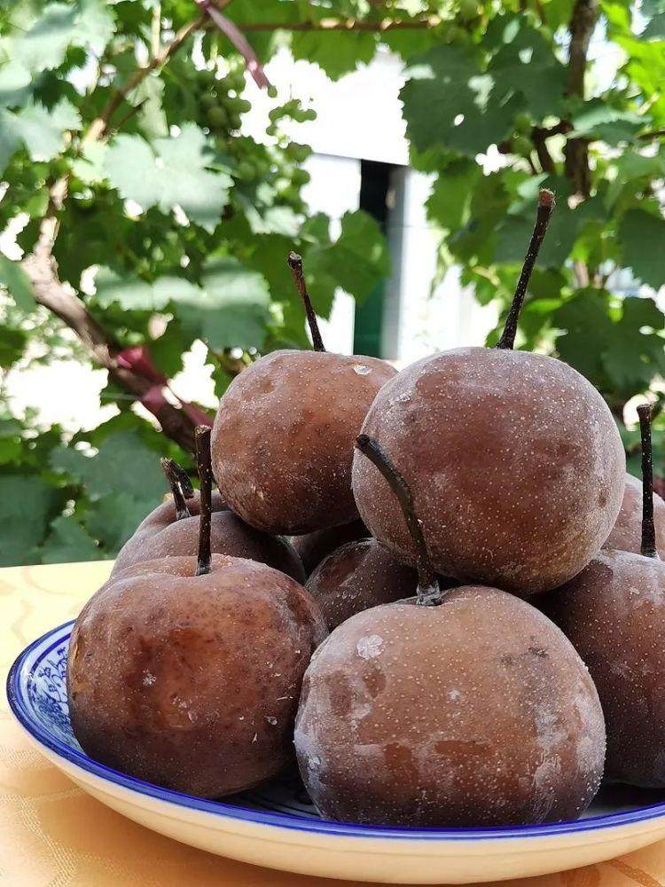 西北特产海原关桥香水梨西海固冻梨软梨喝汁现阶段只发宁夏本地