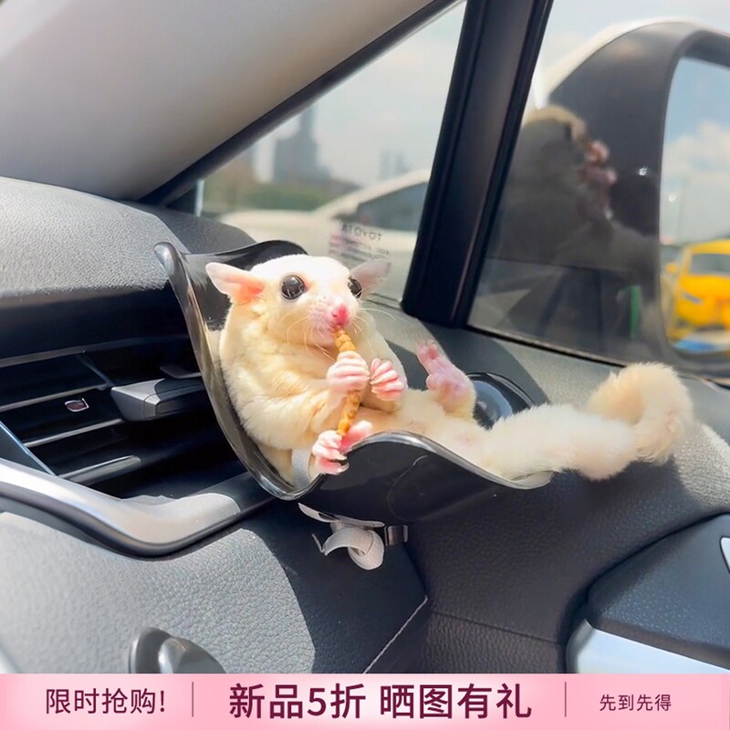 仓鼠车载安全座椅鼯袋蜜金丝熊小宠外出椅子解闷玩具汽车摆件装饰