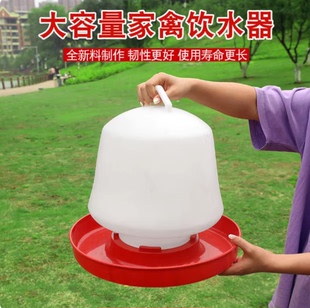 水槽饮水壶水桶小鸡喝水饮水器自动喂水器喂鸡水壶养鸡设备用品