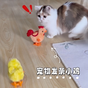 发条小鸡猫咪玩具仿真鸟自动逗猫神器自嗨解闷猫狗狗宠物消耗体力
