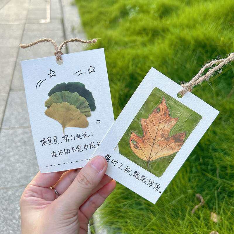 【春天藏进书签】银杏叶树叶干花书签手工diy材料空白卡标本学生