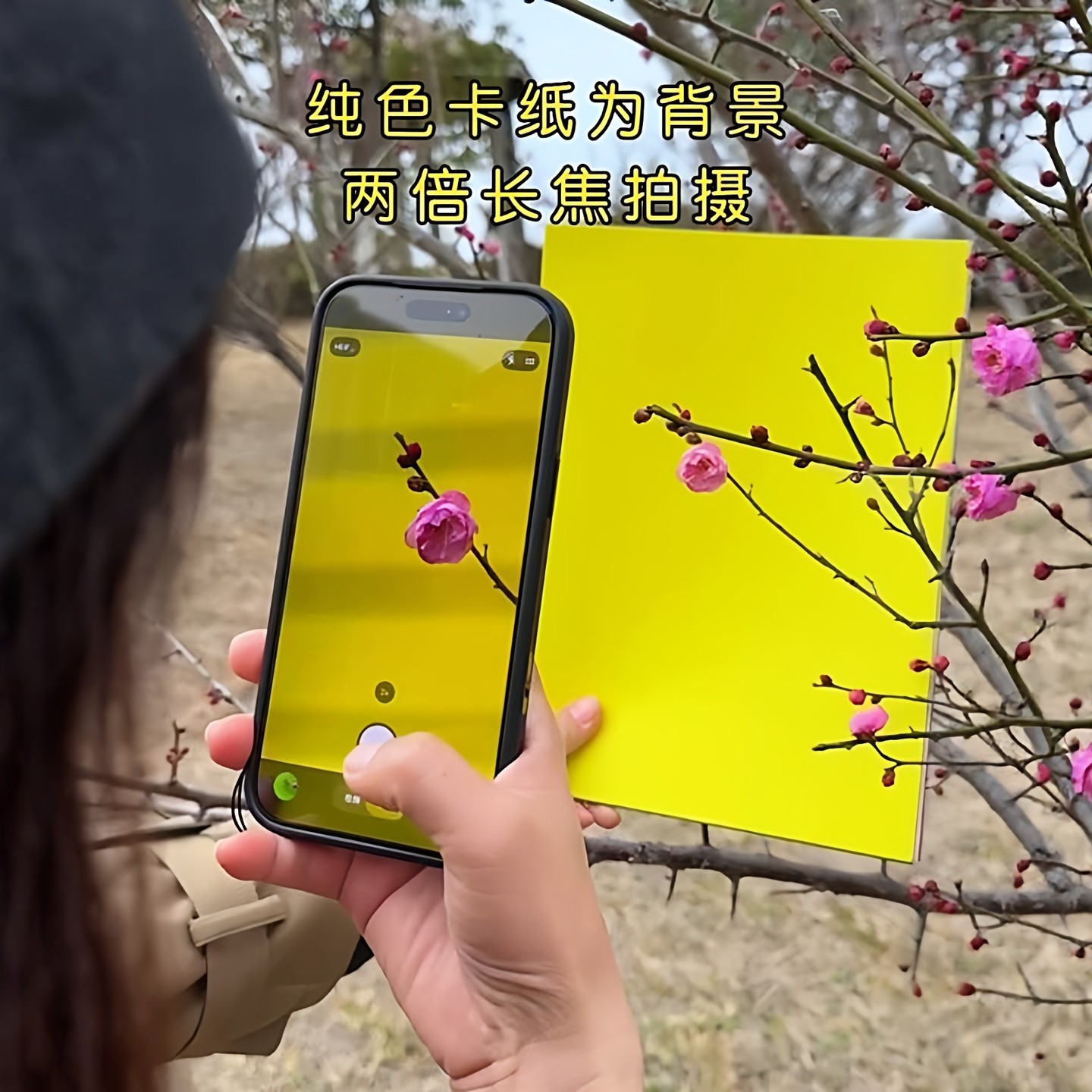 【出片神器】高级摄影专用卡纸拍梅花彩色纯色卡纸手机拍照背景纸
