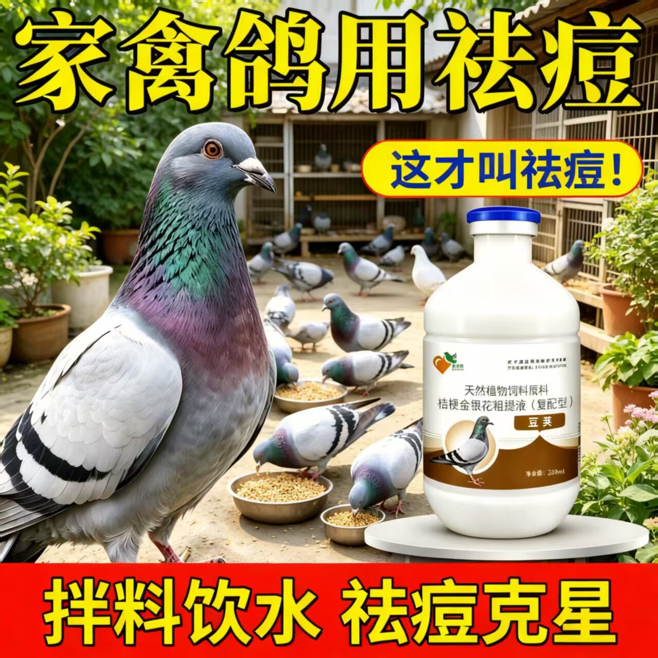 爱睿牧鸽豆去豆液家禽通用拌料饮