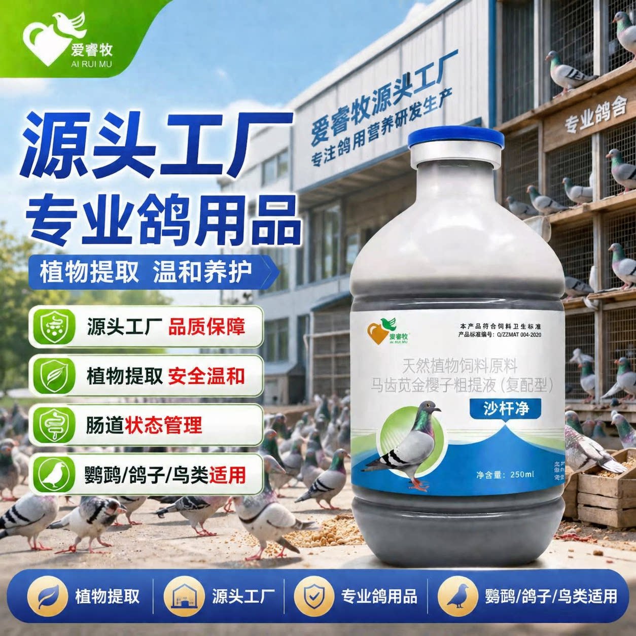 爱睿牧鸽鸟沙杆净定期净化纯植物