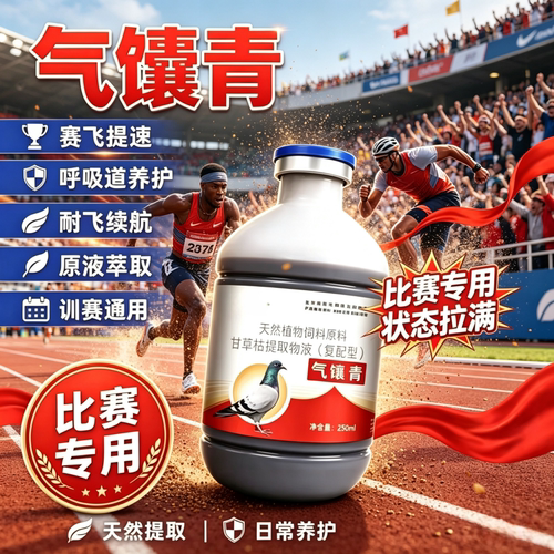 气馕青天然植物提取物赛鸽信鸽日常训练状态拉满耐飞续航不伤鸽子