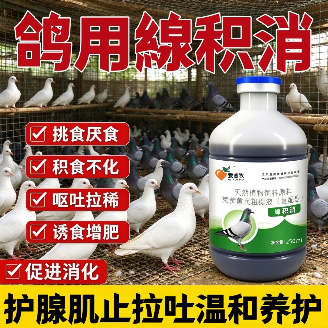 爱睿牧鸽子植物原液调理肠胃