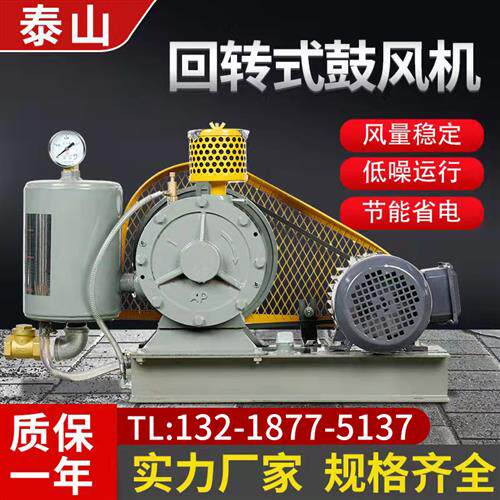 回转式鼓风机工业污水处理曝气增氧大风量滑片低噪音回旋式鼓风机
