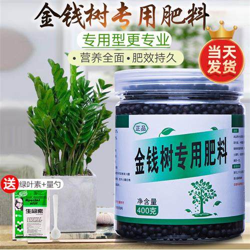 金钱树肥料专用肥金钱树营养液养护盆栽钱串子花肥怎么蟹爪兰家用,鲜花速递/花卉仿真/绿植园艺,家庭园艺肥料,淘宝优惠券,粉丝福利购,淘宝优惠卷