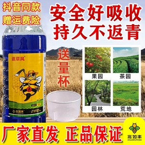 兆如丰速草风高含量抗性牛筋草