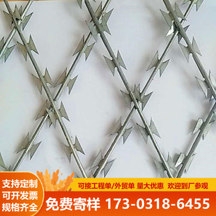 镀锌刀片刺网防爬防盗网监狱护栏网锋利焊接刀刺网防蛇防鼠网