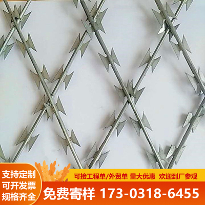镀锌刀片刺网防爬防盗网监狱护栏网锋利焊接刀刺网防蛇防鼠网