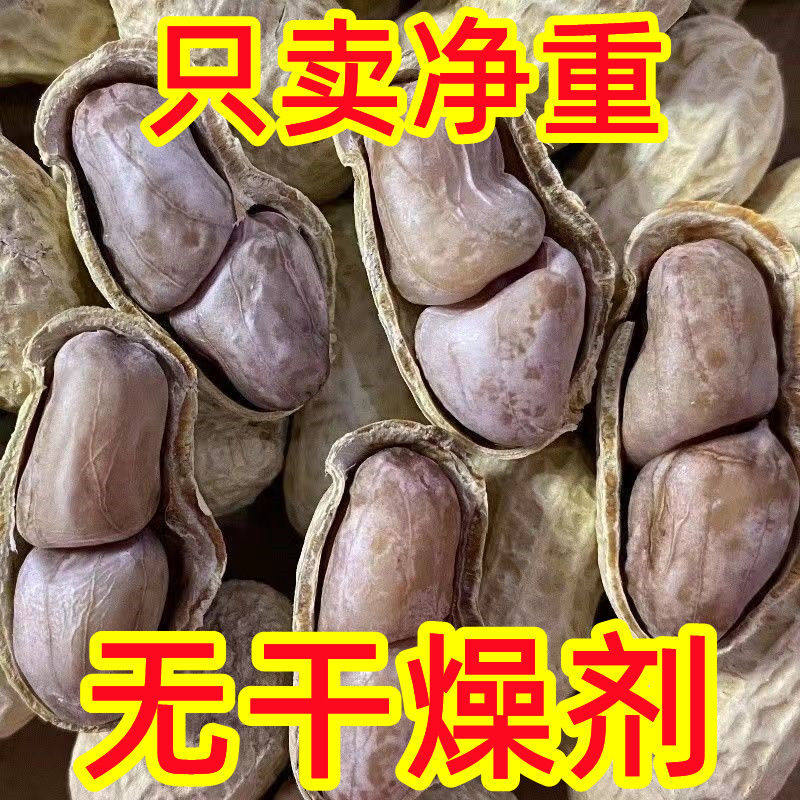 【净重发货】水煮花生龙岩花生五香蒜香花生盐水花生袋装休闲零食