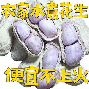 水煮花生龙岩花生五香花生五香盐水花生水煮花生盐花生零食下酒菜