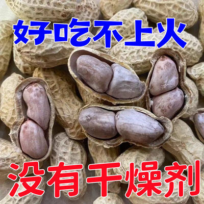 新货水煮花生农家鲜湿花生盐水煮天然白晒咸干花生5斤五香网红豆