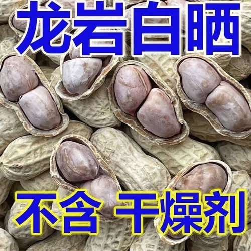 龙岩花生蒜香五香香酥原味盐水白晒咸干水煮花生米带壳炒货熟零食