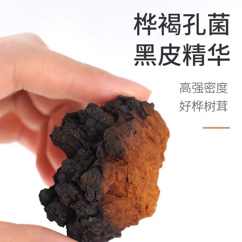 桦树茸黑金颗粒俄罗斯进口野生正品非长白山白桦茸桦褐孔菌茶
