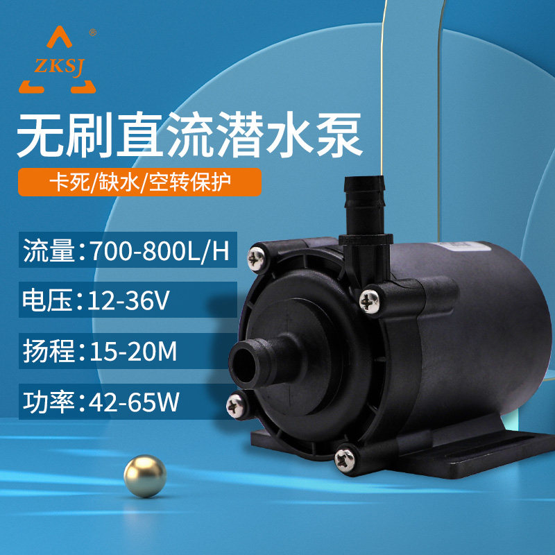 zksj中科世纪水泵高扬程大流量水陆两用12V/24v微型无刷直流水泵