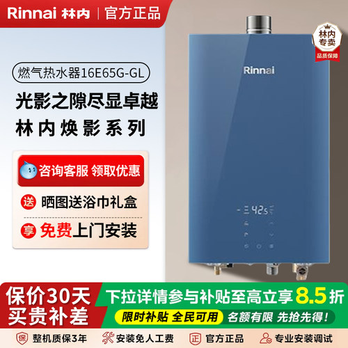林内室内强排智能恒温进口芯片16