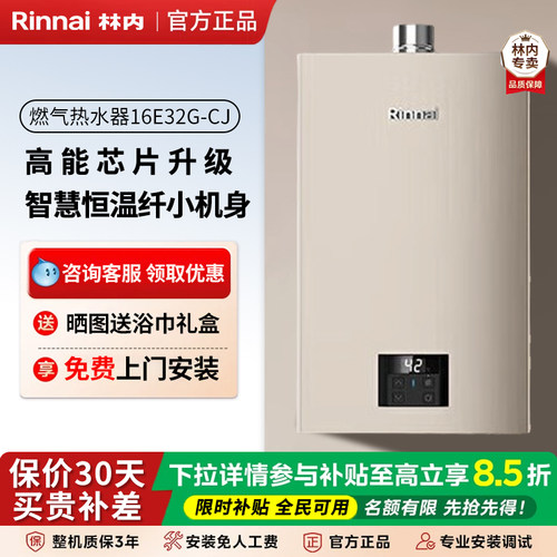 林内室内强排智能恒温进口芯片16