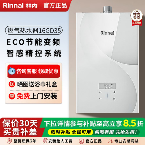 林内【小蛮腰系列】16升强排式