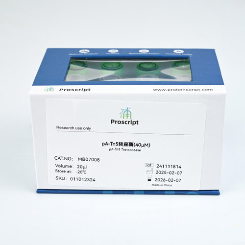 pA-Tn5转座酶 MB07008 科研试剂 现货供应