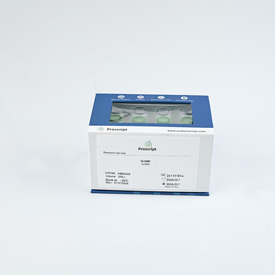 DL2000 MB04033 高纯度科研试剂 高性价比现货供应