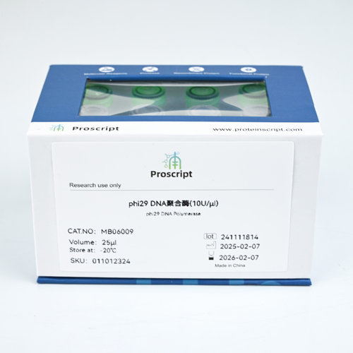 phi29 DNA Polymerase(10U/µl) MB06009 科研试剂 现货供应