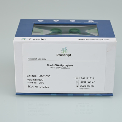 Uracil-DNA Glycosylase (Heat-labile, Bacterium1U/μl MB01030