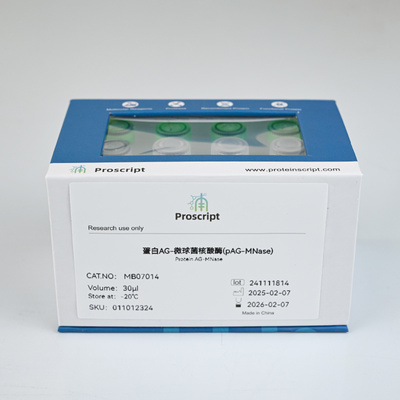 蛋白AG-微球菌核酸酶(pAG-MNase) MB07014 科研试剂 现货供应