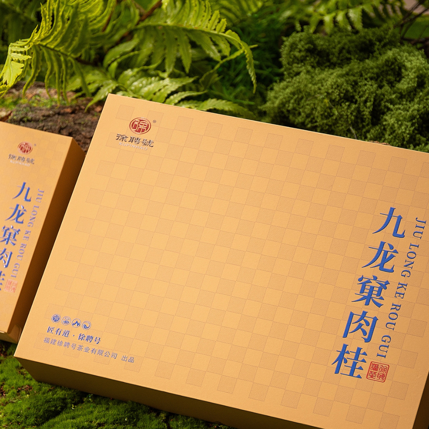 徐聘号九龙窠肉桂60克(10克*6)