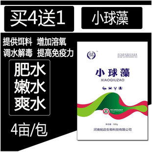 水产养殖专用小球藻 快速培藻肥水 稳藻防倒藻虾蟹苗开口饵料粉剂