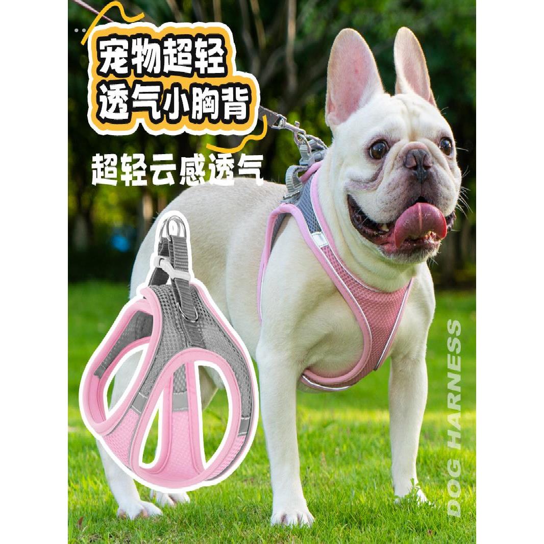 小体犬幼犬专用牵引绳超小体约克夏胸背茶杯犬1斤狗绳小鹿犬狗狗